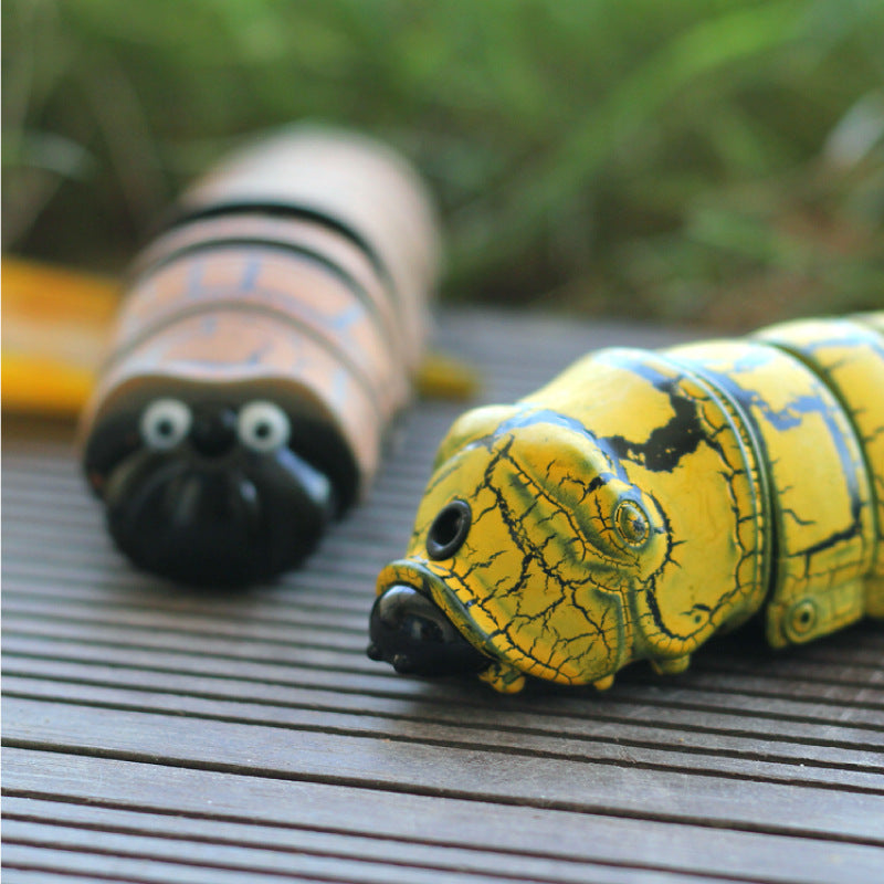 Remote Control Caterpillar Toy